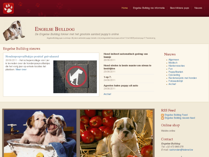 www.engelse-bulldog-online.be