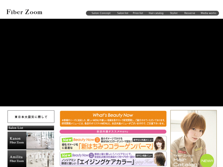 www.fiberzoom.co.jp