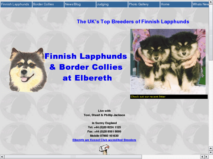 www.finnishlapphund.co.uk