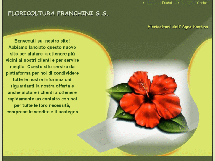 www.floricolturafranchini.com