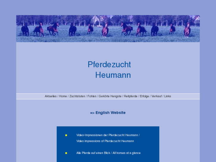 www.pferdezucht-heumann.de