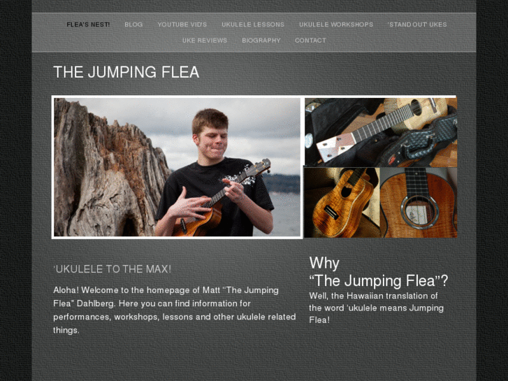 www.thejumpingflea.net