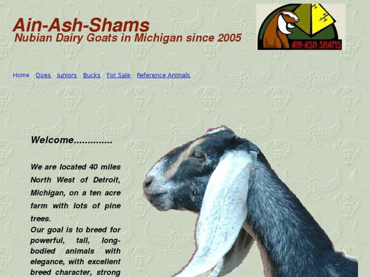 www.ain-ash-shams.net