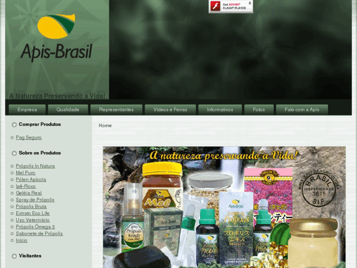 www.apisbrasil.com.br