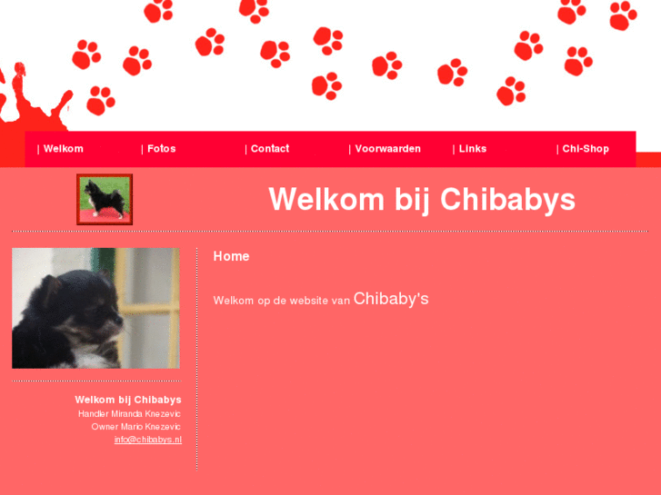 www.chibabys.com