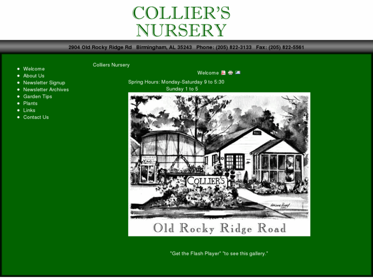 www.colliersnursery.com