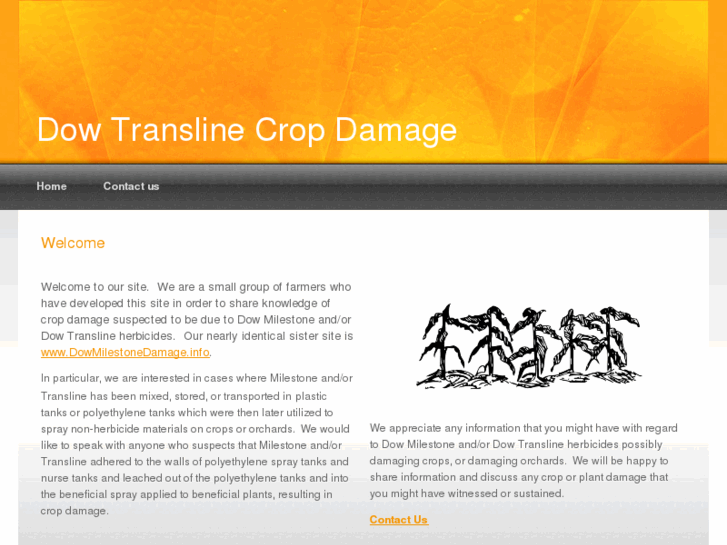 www.dowtranslinedamage.info