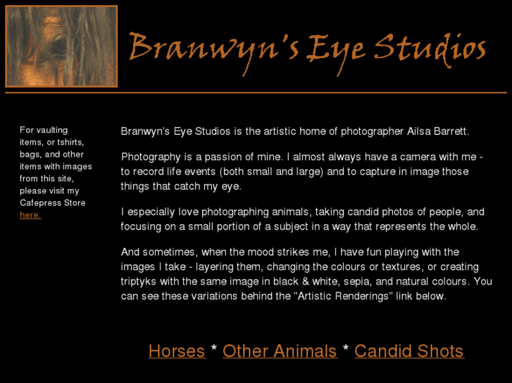 www.branwynseye.com