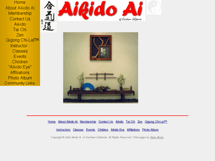 www.aikidoai.com