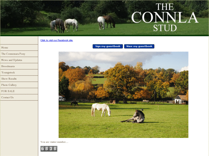 www.connlastud.com