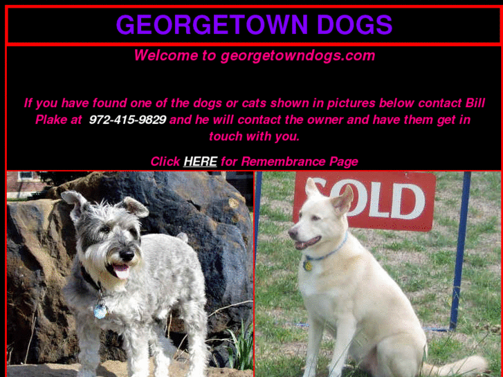 www.georgetowndogs.com