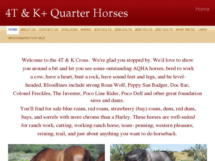 www.kcrossquarterhorses.com