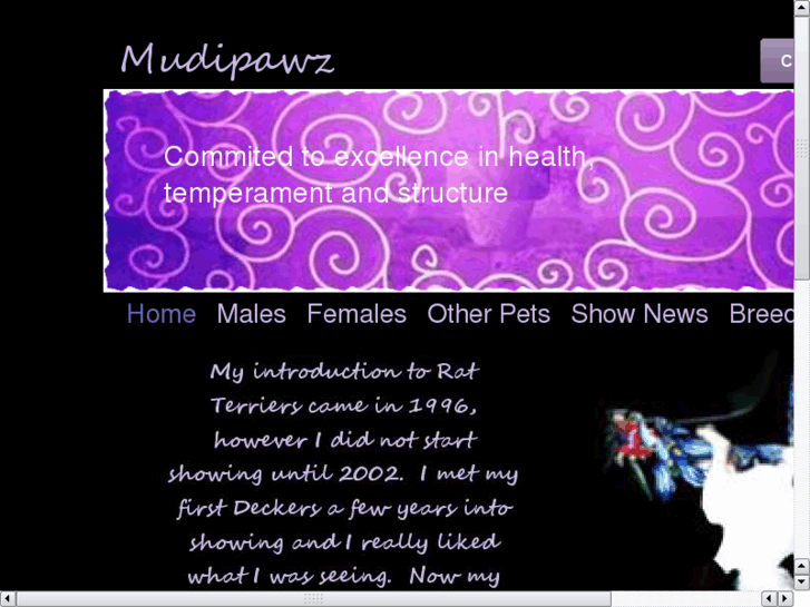 www.mudipawz.com