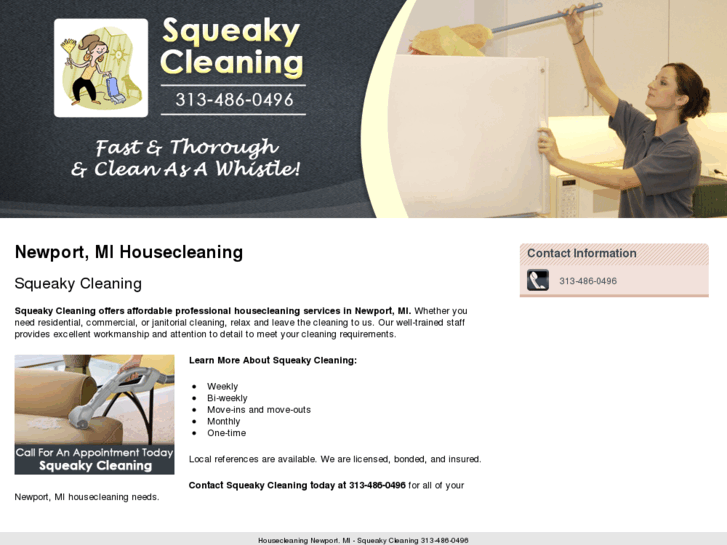 www.squeakycleaningmi.com