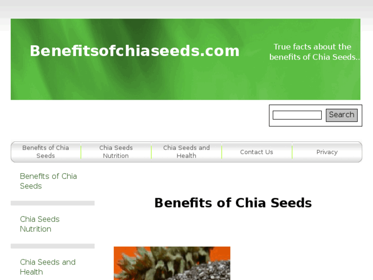 www.benefitsofchiaseeds.com