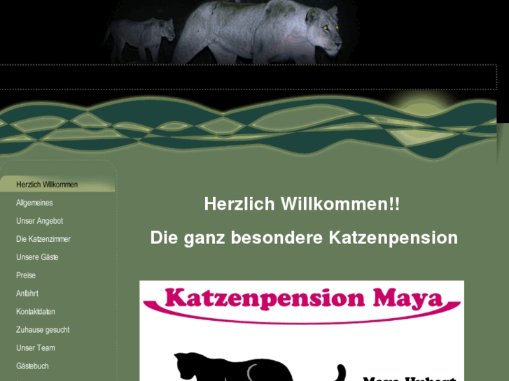 www.katzenpension-maya.com