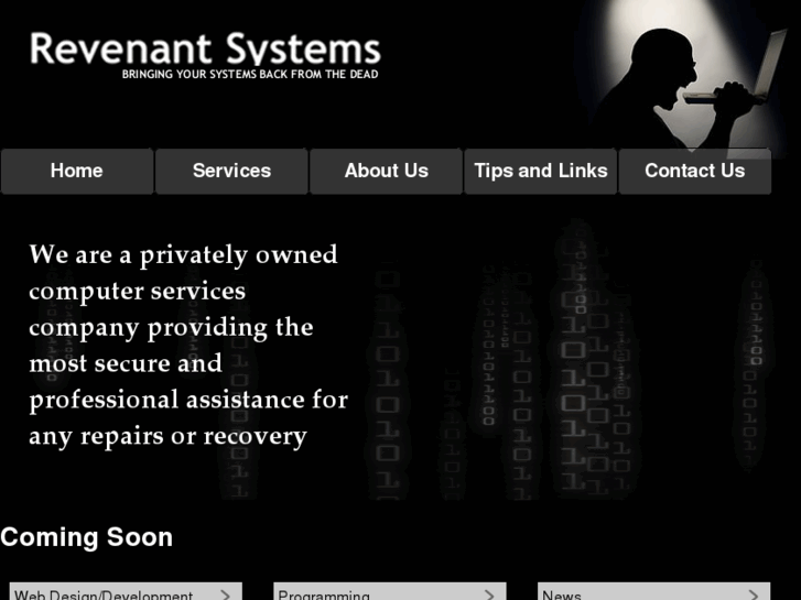 www.revenantsystems.com