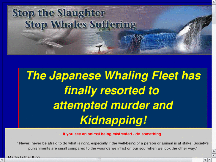 www.stopwhalessuffering.org