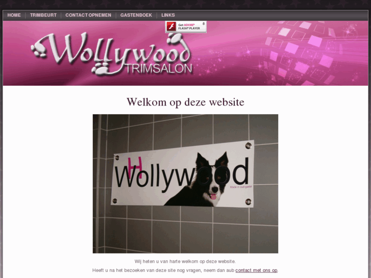 www.tswollywood.nl