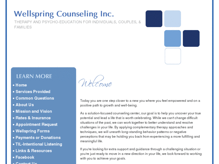 www.wellspringcounselinginc.com