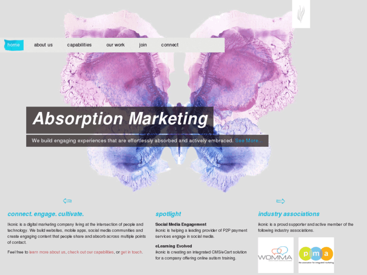 www.absorptionmarketing.com