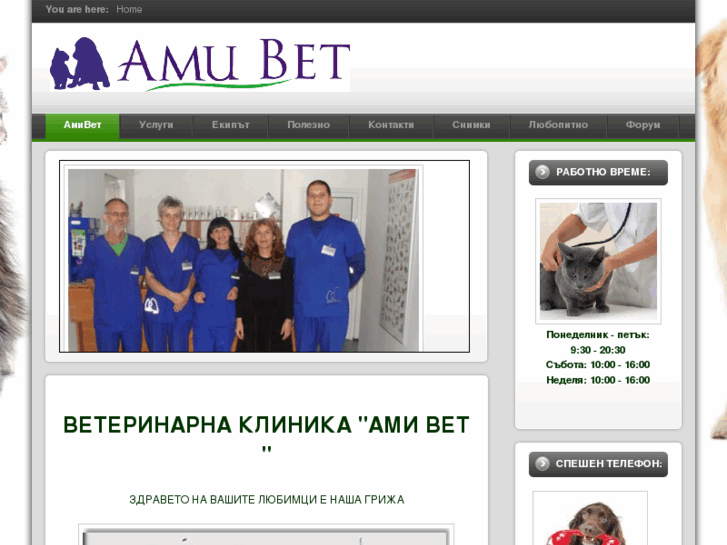 www.amivetbg.com