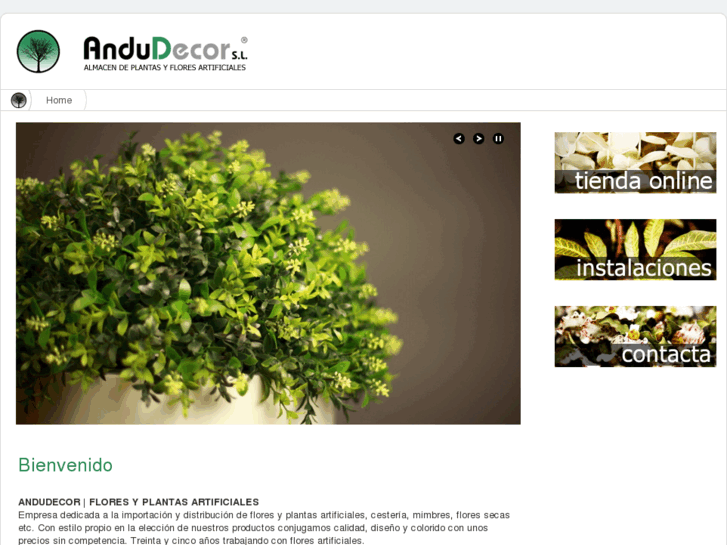 www.andudecor.com