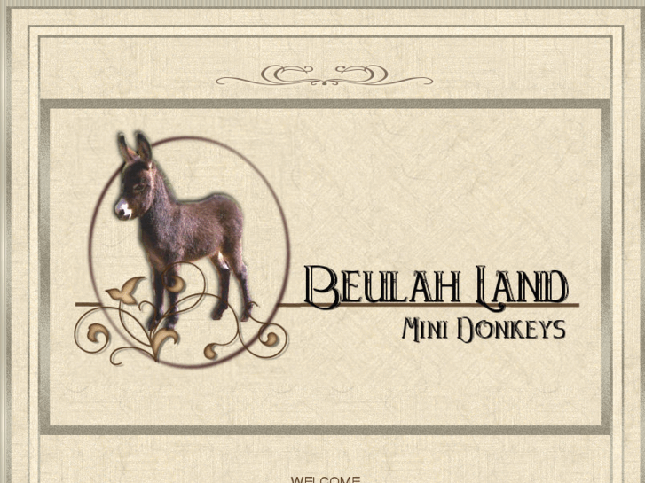 www.beulahlanddonkeys.com