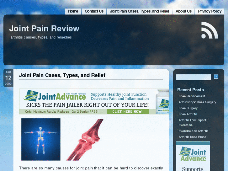 www.jointpain-review.com