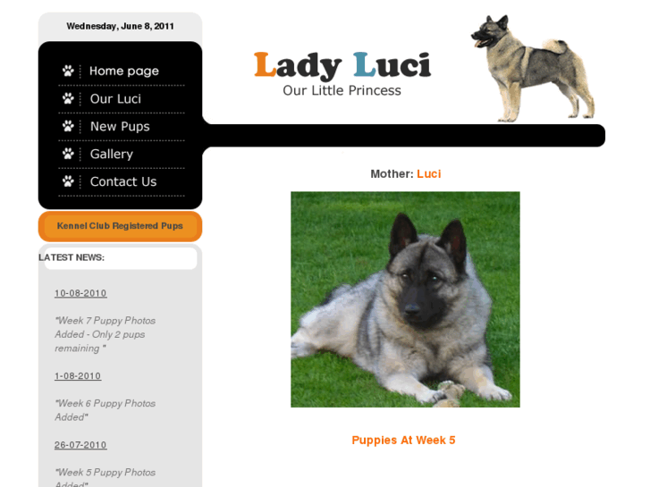 www.ladyluci.com