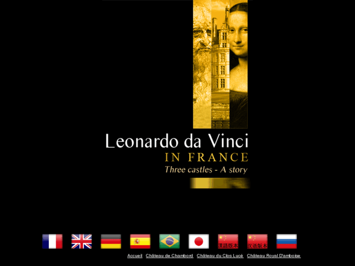 www.leonardodavinci-infrance.com