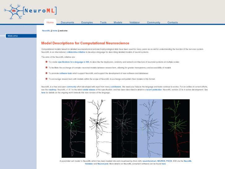 www.morphml.org