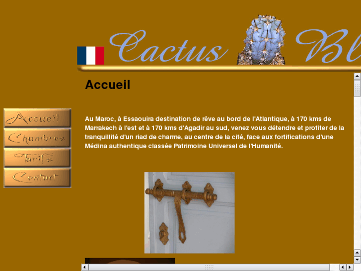 www.cactus-bleu.com