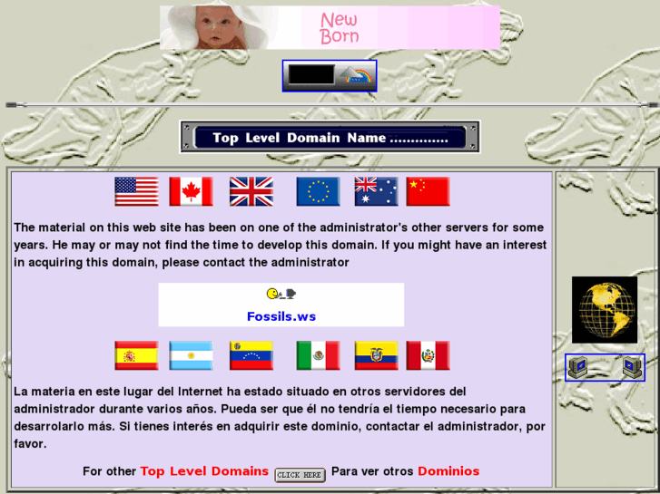 www.fossils.ws