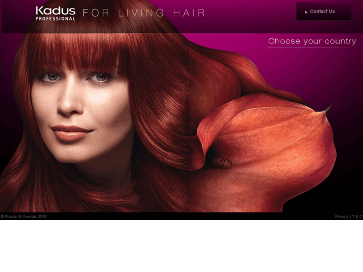 www.friseur-portal.com