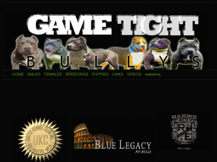 www.gametightbullys.com