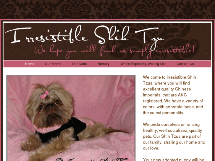 www.irresistibleshihtzu.com