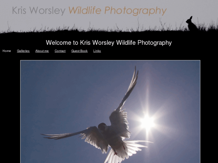 www.krisworsley.com