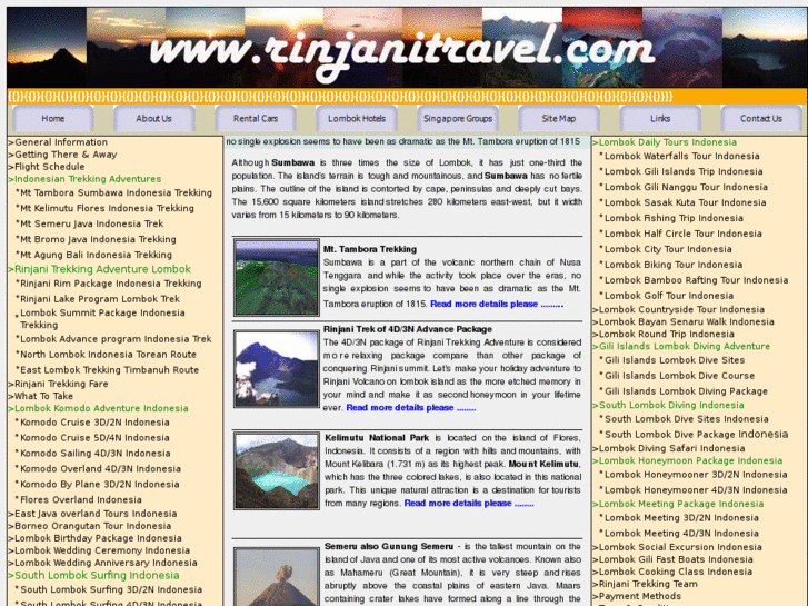 www.rinjanitravel.com