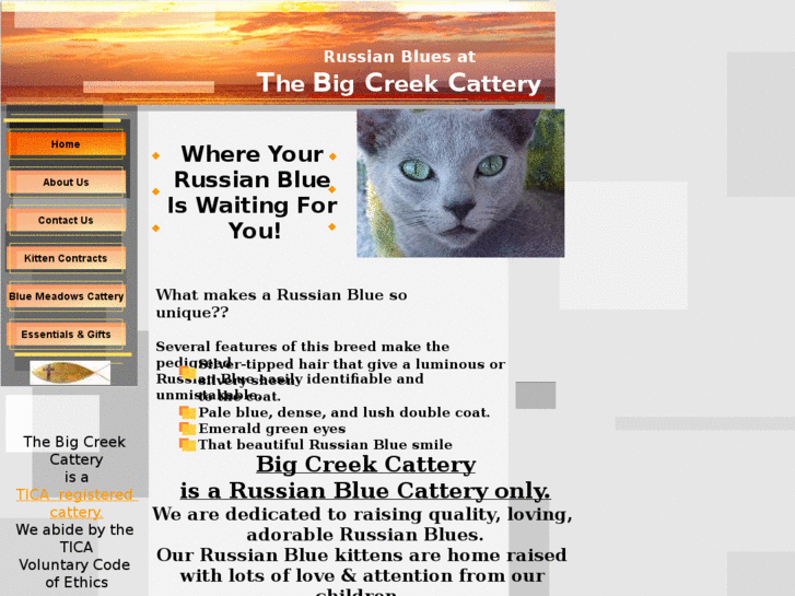 www.russianbluecattery.com