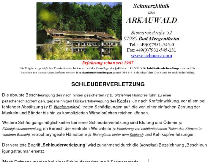 www.schleuderverletzung.de