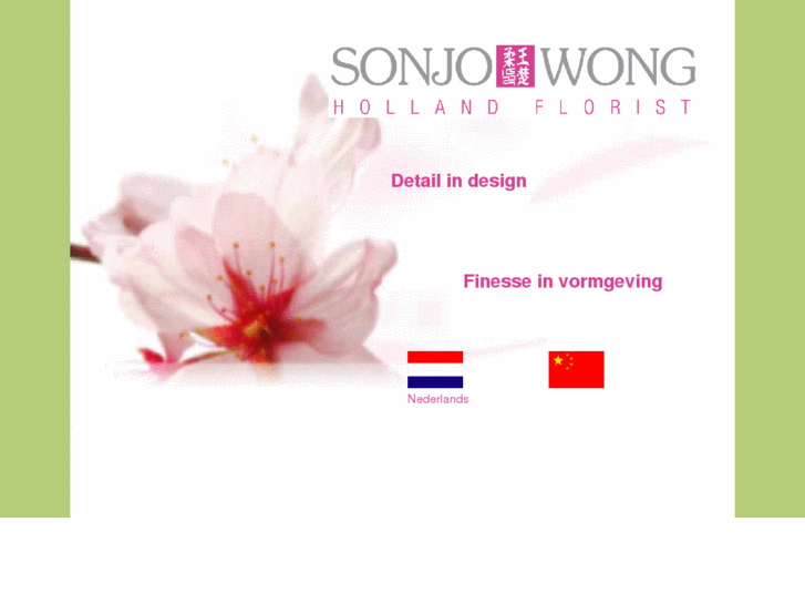 www.sonjowong.com