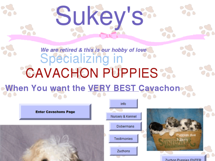 www.sukeykennel.com