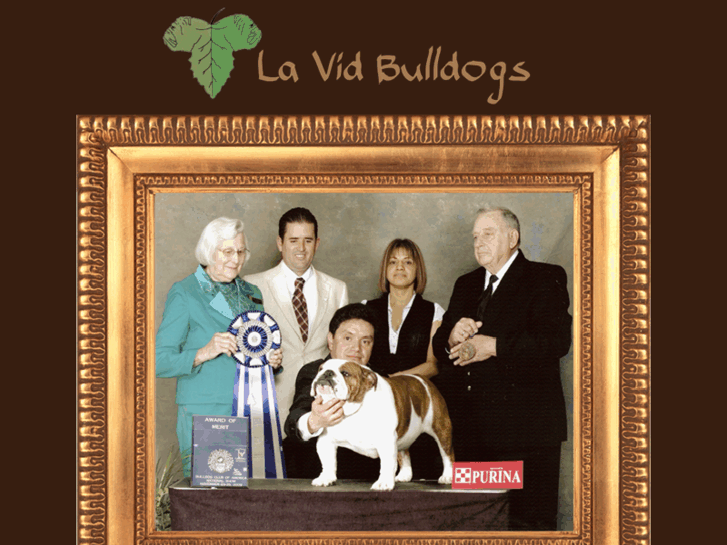 www.bulldogslavid.com