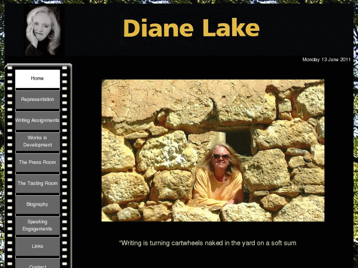 www.dianelake.com