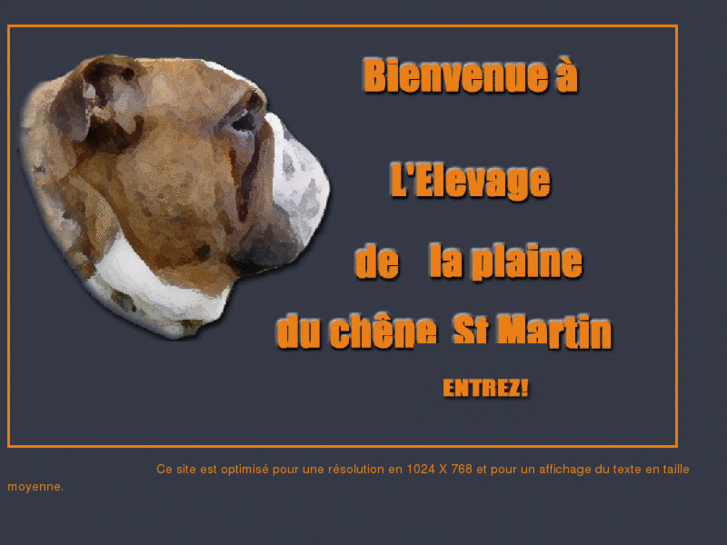 www.du-chene-saint-martin.com