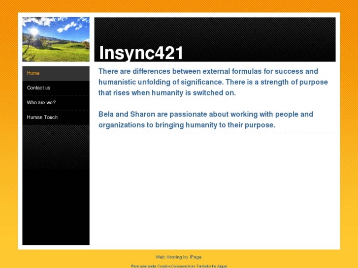 www.insync421.net