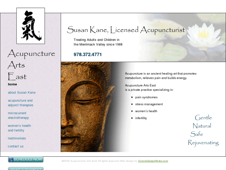 www.acupunctureartseast.com