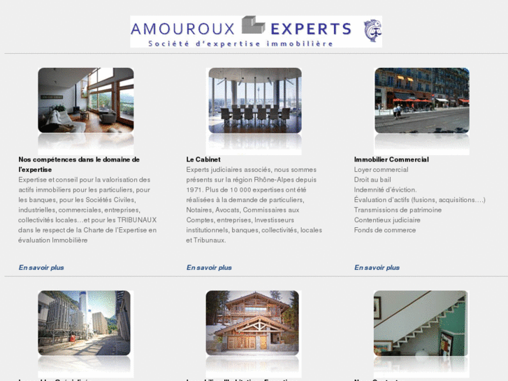 www.amouroux-experts.com