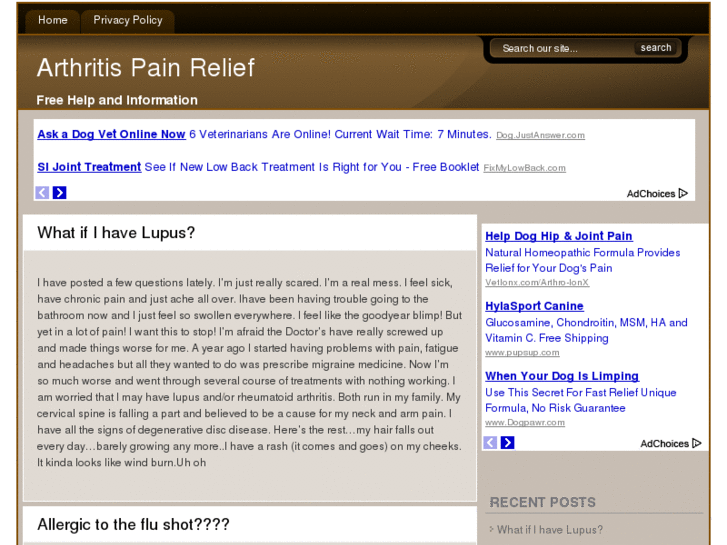 www.arthritispainguide.com
